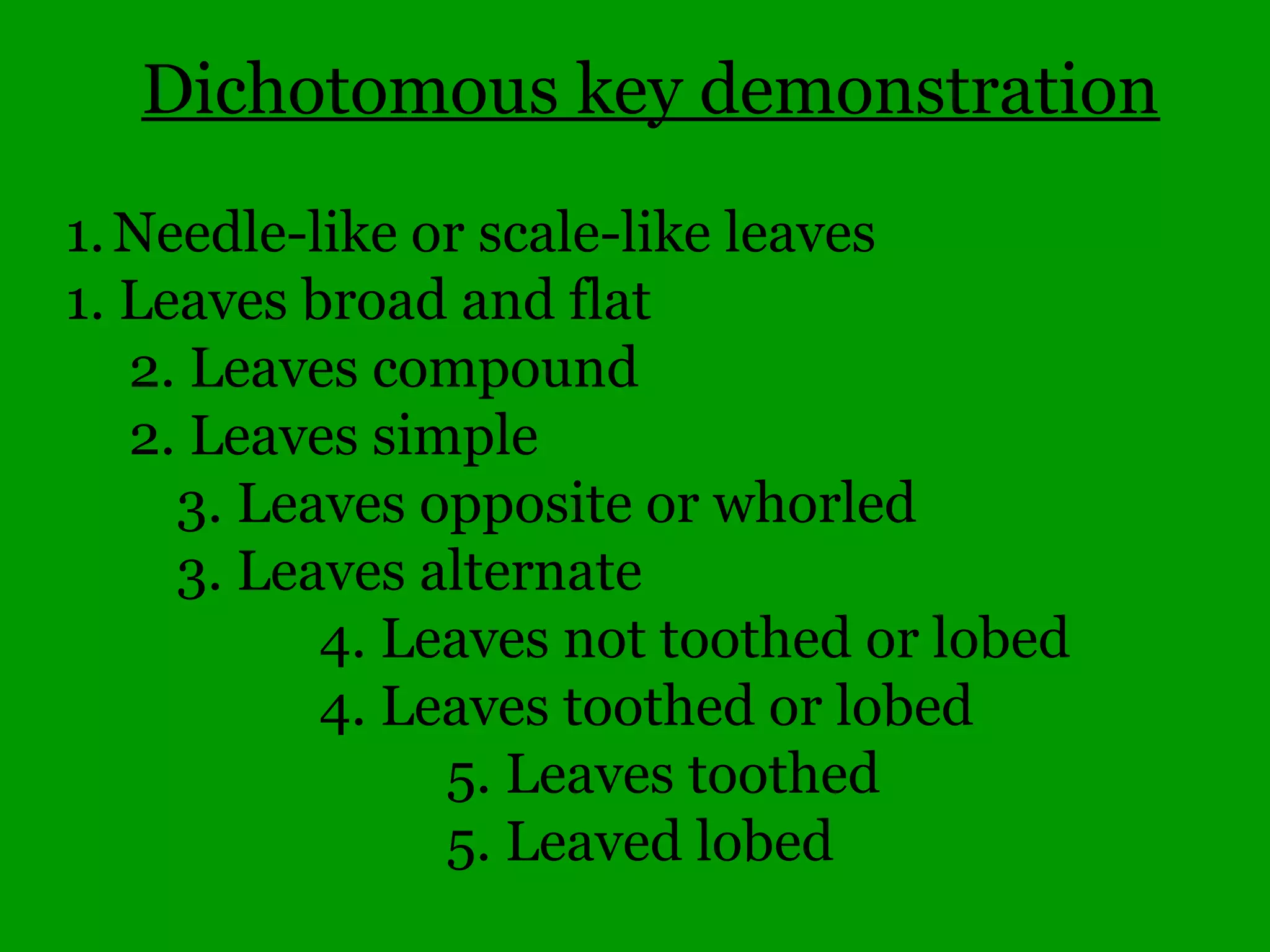 Common Woody Angiosperms
• Salicaceae (Willow family)
– Salix – 29 species
• babylonica (Weeping Willow)
• discolor (Pussy Willow)
• glaucophylloides (Blue-leaf Willow)
• humilis (Prairie Willow)
• interior (Sandbar Willow)
• nigra (Black Willow)
 