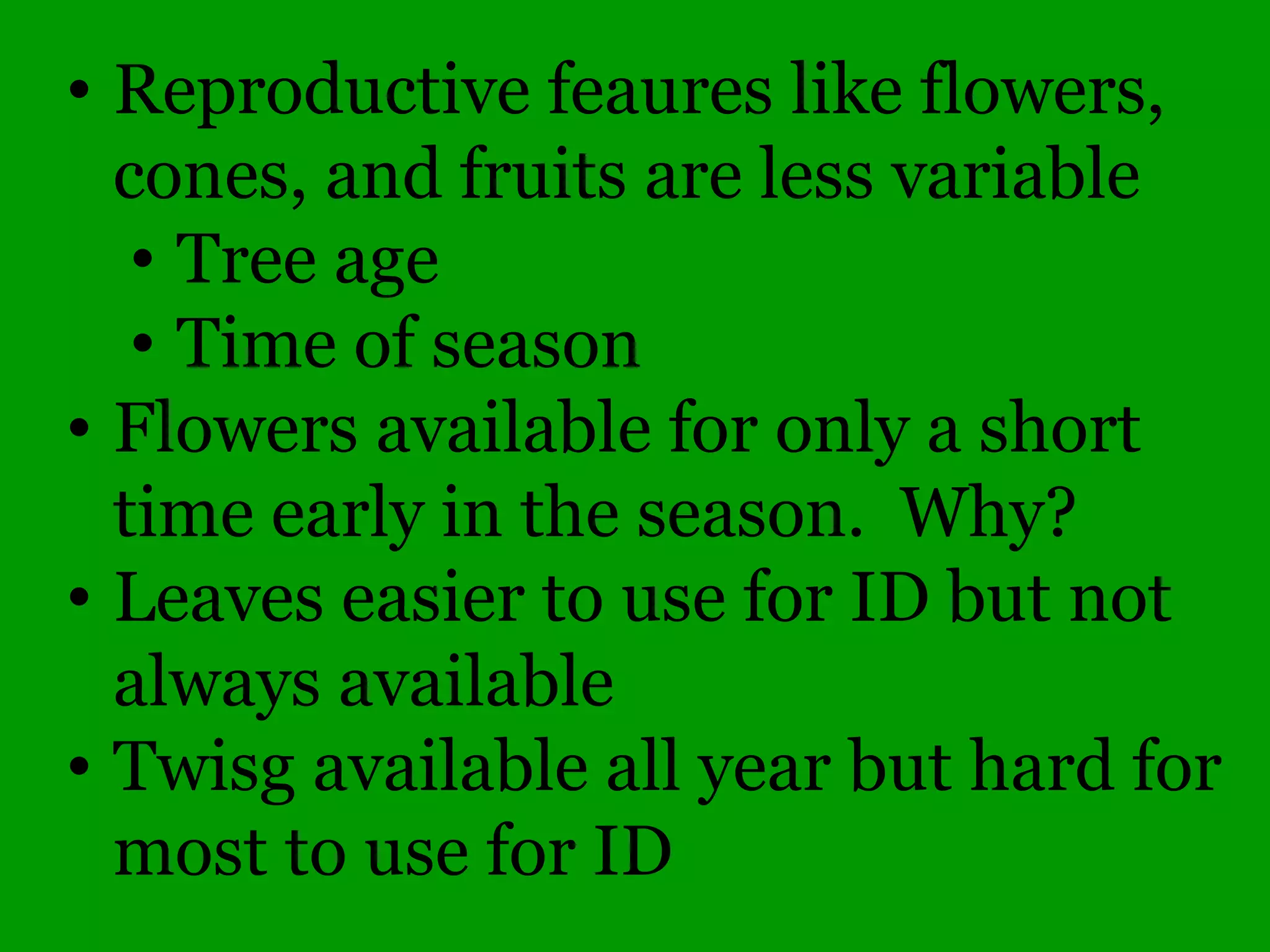 Common Woody Angiosperms
• Tiliaceae (Basswood family)
– Tilia – 3 species
• americana (American Basswood)
• cordata (Heart-leaved Basswood)
• heterophylla (White Basswood)
 