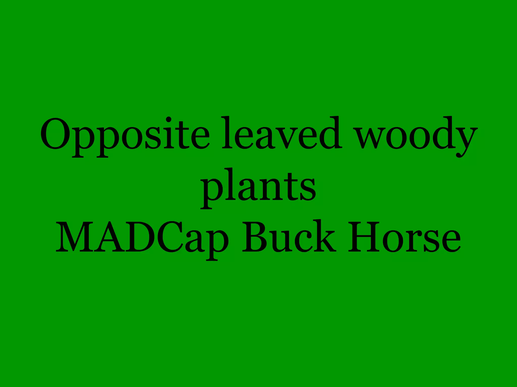 Common Woody Angiosperms
• Ulmaceae (Elm family)
– Celtis – 3 species
• laevigata (Sugarberry)
• occidentalis (Common Hackberry)
• tenuifolia (Dwarf Hackberry)
– Planera – 1 species
• americana (Water Elm)
– Ulmus – 5 species
• alata (Winged Elm)
• americana (American Elm)
• pumila* (Siberian Elm)
• rubra (Red Elm)
• thomasii (Rock Elm)
 
