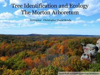 Tree Identification and Ecology
The Morton Arboretum
Instructor: Christopher David Benda
 