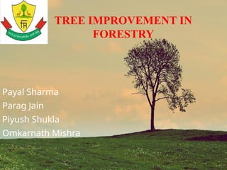 tree improvement in forestry plus tree and elite tree | PPTX