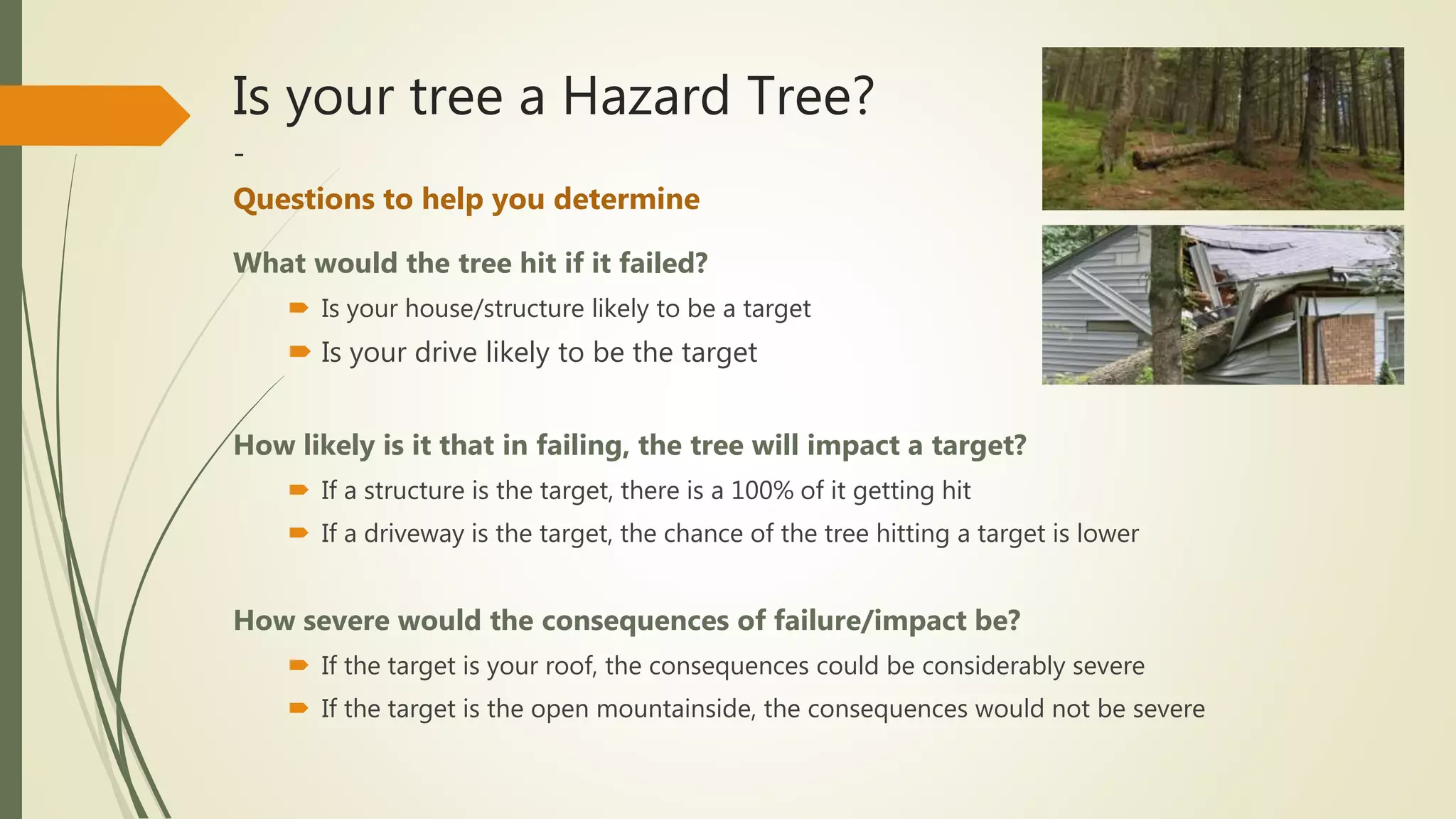 Is your tree a Hazard Tree?
-
Questions to help you determine
What would the tree hit if it failed?
 Is your house/structure likely to be a target
 Is your drive likely to be the target
How likely is it that in failing, the tree will impact a target?
 If a structure is the target, there is a 100% of it getting hit
 If a driveway is the target, the chance of the tree hitting a target is lower
How severe would the consequences of failure/impact be?
 If the target is your roof, the consequences could be considerably severe
 If the target is the open mountainside, the consequences would not be severe
 