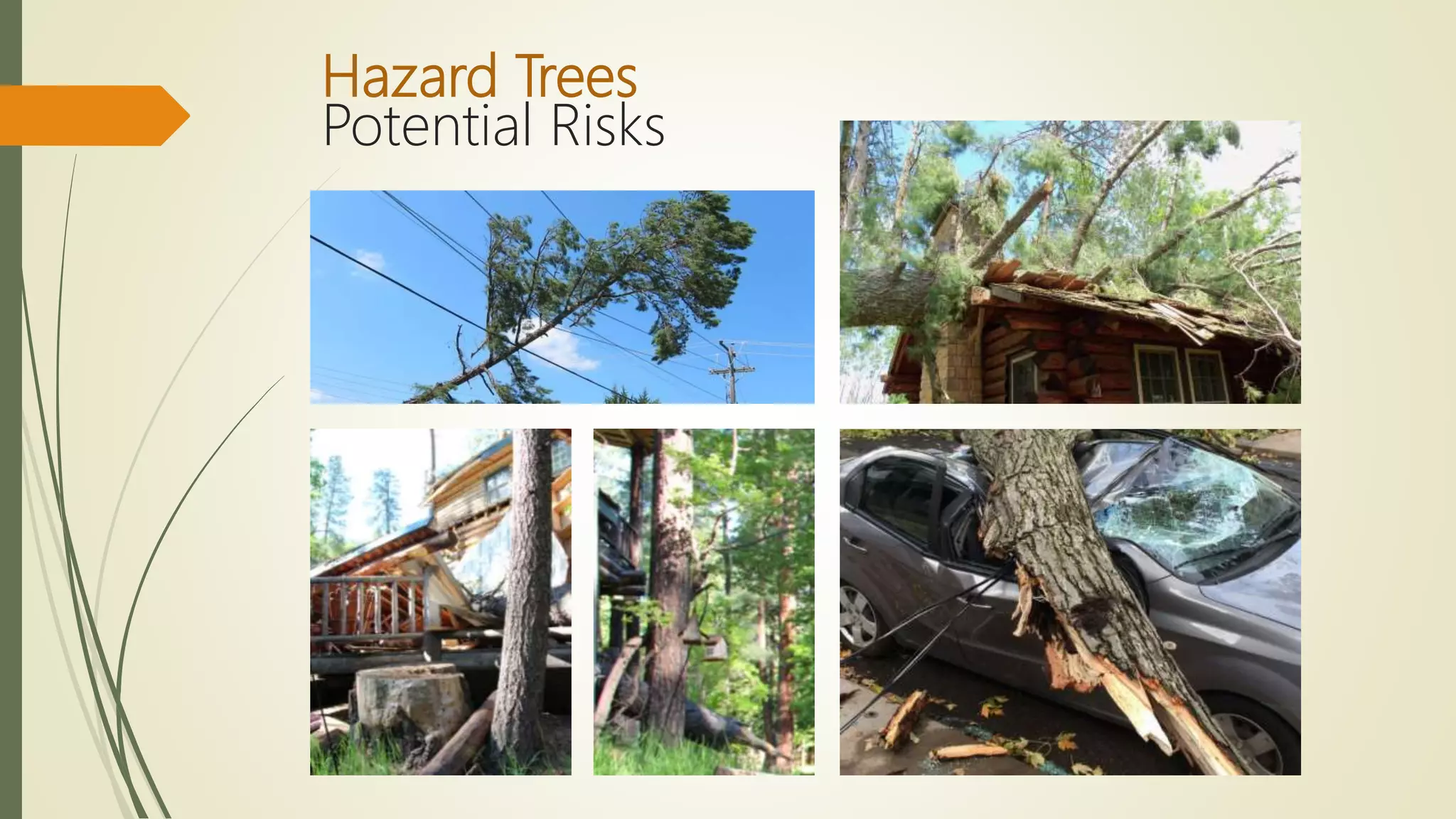 Hazard Trees
Potential Risks
 