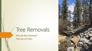 Tree Removals
Why are they necessary?
How you can help…
 