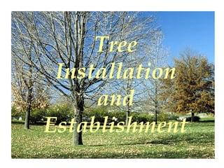 Tree
 Installation
     and
Establishment
 