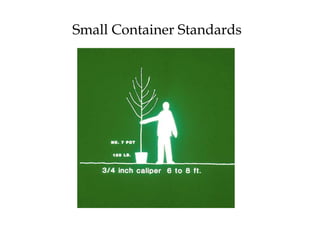 Tree installation and establishment ppt | PPTX