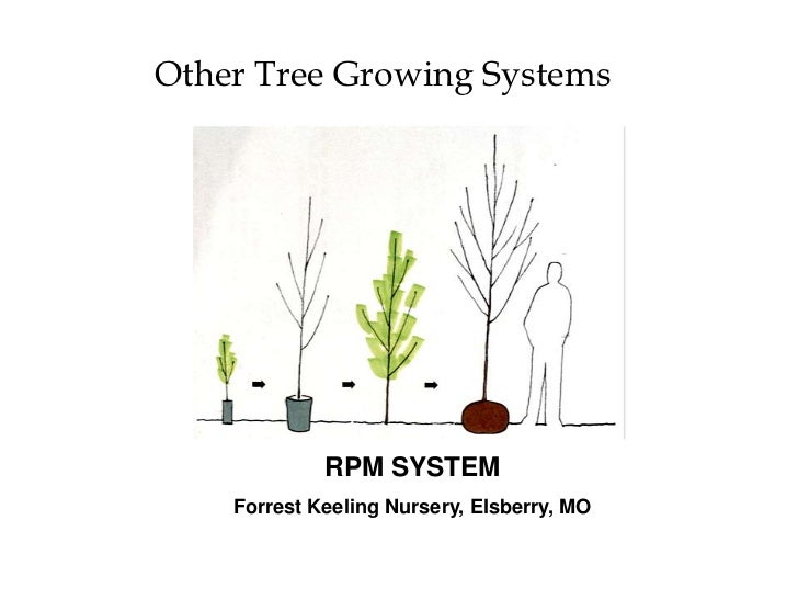 Tree installation and establishment ppt