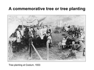 A commemorative tree or tree planting Tree planting at Coolum, 1933 