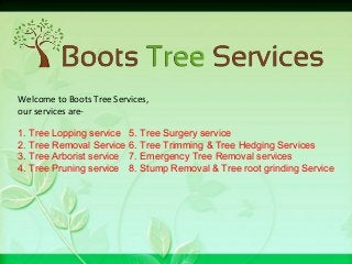 Welcome to Boots Tree Services,
our services are-
5. Tree Surgery service
6. Tree Trimming & Tree Hedging Services
7. Emergency Tree Removal services
8. Stump Removal & Tree root grinding Service
1. Tree Lopping service
2. Tree Removal Service
3. Tree Arborist service
4. Tree Pruning service
 