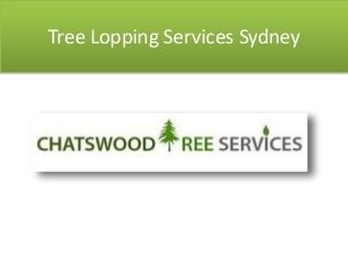 Tree Lopping Services Sydney
 