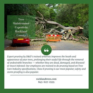 Tree
Maintenance
Expertsin
Rockland
County
Expert pruning by D&D’s trained arborists improves the heath and
appearance of your trees, prolonging their useful life through the removal
of undesirable branches — whether they are dead, damaged, and diseased
or insect infested. Our employees are trained to do pruning based on Tree
Care Industry specifications. Class II pruning is our most popular; safety and
storm proofing is also popular.
rocklandtrees.com
845-627-2555
 