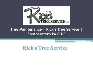 Tree Maintenance | Rick’s Tree Service |
Southeastern PA & DE
Rick's Tree Service
 