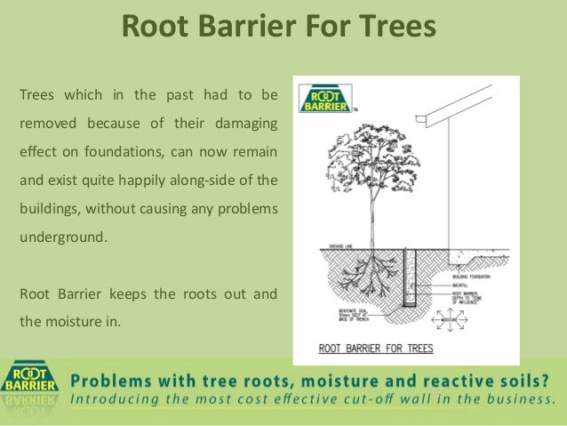 Tree Max & Root Barrier -Cost Effective Prevent Root and Moisture Sta…