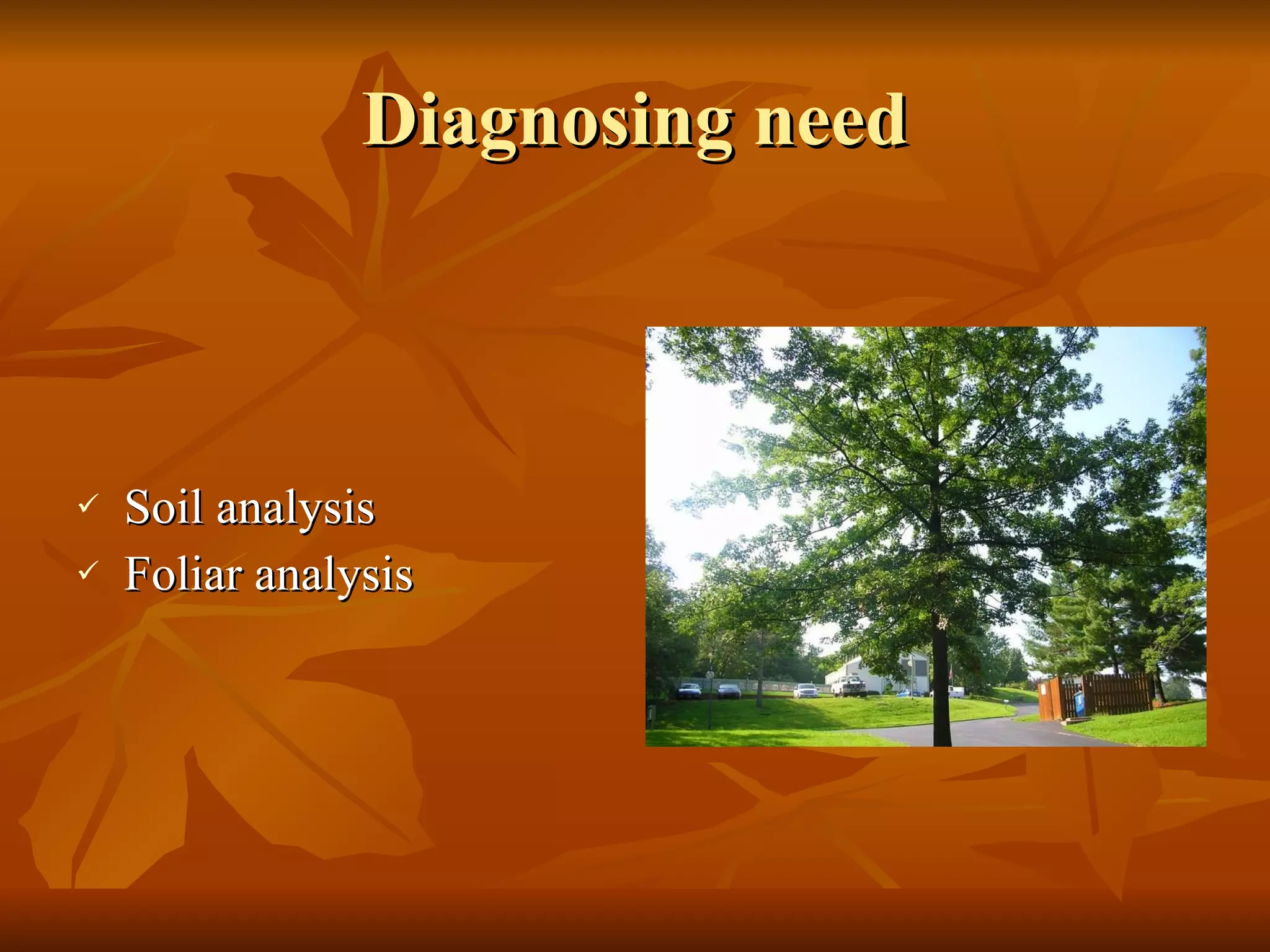Diagnosing need Soil analysis Foliar analysis 