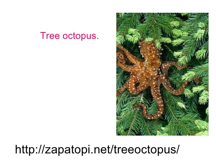 Tree Octopus