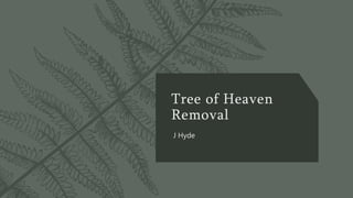 Tree of Heaven
Removal
J Hyde
 