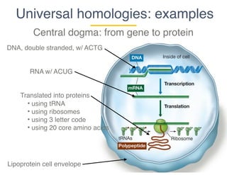 Microbial Diversity Part 4: Tree of Life | PDF