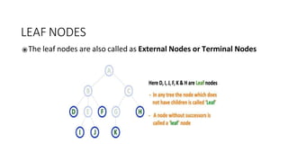 LEAF NODES
⦿The leaf nodes are also called as External Nodes or Terminal Nodes
 