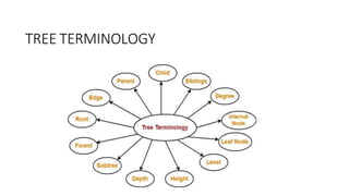 TREE TERMINOLOGY
 