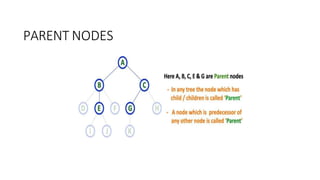 PARENT NODES
 