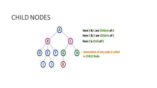 CHILD NODES
 