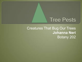 Creatures That Bug Our Trees
               Johanna Neri
                 Botany 202
 