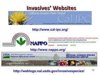 10 
IInnvvaassiivveess’’ WWeebbssiitteess 
http://www.cal-ipc.org/ 
http://www.nappo.org/ 
http://weblogs.nal.usda.gov/invasivespecies/ 
 