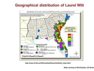 http://www.fs.fed.us/r8/foresthealth/laurelwilt/dist_map.shtml 
Slide courtesy of Akif Eskalen, UC Riverside 
 