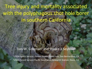 Tree injury and mortality associated 
with the polyphagous shot hole borer 
in southern California 
Tom W. Coleman1 and Steven J. Seybold2 
1USDA Forest Service, Forest Health Protection, San Bernardino, CA 
2USDA Forest Service Pacific Southwest Research Station, Davis, CA 
 