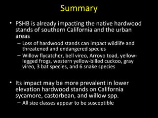 Summary 
• PSHB is already impacting the native hardwood 
stands of southern California and the urban 
areas 
– Loss of hardwood stands can impact wildlife and 
threatened and endangered species 
– Willow flycatcher, bell vireo, Arroyo toad, yellow-legged 
frogs, western yellow-billed cuckoo, gray 
vireo, 3 bat species, and 6 snake species 
• Its impact may be more prevalent in lower 
elevation hardwood stands on California 
sycamore, castorbean, and willow spp. 
– All size classes appear to be susceptible 
 
