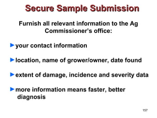 157 
SSeeccuurree SSaammppllee SSuubbmmiissssiioonn 
Furnish all relevant information to the Ag 
Commissioner’s office: 
►your contact information 
►location, name of grower/owner, date found 
►extent of damage, incidence and severity data 
►more information means faster, better 
diagnosis 
 