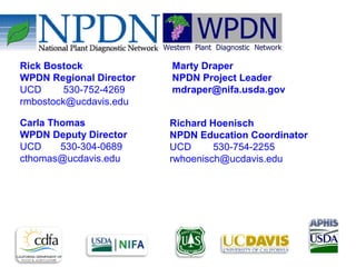 158 
Rick Bostock 
WPDN Regional Director 
UCD 530-752-4269 
rmbostock@ucdavis.edu 
Carla Thomas 
WPDN Deputy Director 
UCD 530-304-0689 
cthomas@ucdavis.edu 
Marty Draper 
NPDN Project Leader 
mdraper@nifa.usda.gov 
Richard Hoenisch 
NPDN Education Coordinator 
UCD 530-754-2255 
rwhoenisch@ucdavis.edu 
 