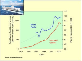 16 
1600 
110 
Total (Man+Agr) Goods Imported 
(Billion Constnt 1996 Dollars) 30 
1200 
800 
400 
0 
1975 1980 1985 1990 1995 2000 
Year 
100 
90 
80 
70 
60 
50 
40 
Pests Intercepted (*1000) 
Imported 
Goods 
Exotic 
Pests 
Source: W. Bailey, USDA-APHIS 
 