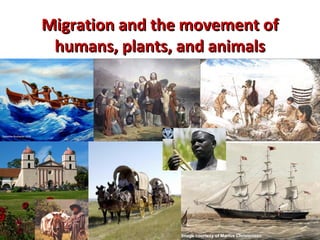 Migration aanndd tthhee mmoovveemmeenntt ooff 
hhuummaannss,, ppllaannttss,, aanndd aanniimmaallss 
17 
Image courtesy of Marius Christensen 
 