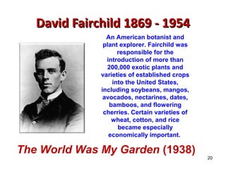DDaavviidd FFaaiirrcchhiilldd 11886699 -- 11995544 
20 
An American botanist and 
plant explorer. Fairchild was 
responsible for the 
introduction of more than 
200,000 exotic plants and 
varieties of established crops 
into the United States, 
including soybeans, mangos, 
avocados, nectarines, dates, 
bamboos, and flowering 
cherries. Certain varieties of 
wheat, cotton, and rice 
became especially 
economically important. 
The World Was My Garden (1938) 
 