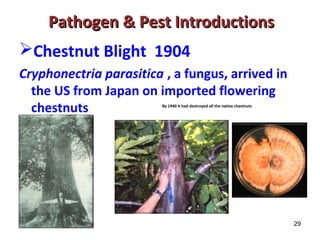 29 
Pathogen && PPeesstt IInnttrroodduuccttiioonnss 
Chestnut Blight 1904 
Cryphonectria parasitica , a fungus, arrived in 
the US from Japan on imported flowering 
chestnuts By 1940 it had destroyed all the native chestnuts 
 
