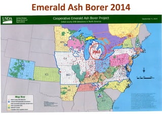 Emerald Ash Borer 2014 
2002 
 