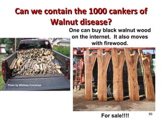 89 
Can we contain tthhee 11000000 ccaannkkeerrss ooff 
WWaallnnuutt ddiisseeaassee?? 
One can buy black walnut wood 
on the internet. It also moves 
with firewood. 
For sale!!!! 
Photo by Whitney Cranshaw 
 