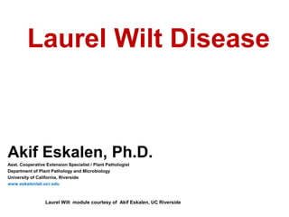 Laurel Wilt Disease 
Akif Eskalen, Ph.D. 
Asst. Cooperative Extension Specialist / Plant Pathologist 
Department of Plant Pathology and Microbiology 
University of California, Riverside 
www.eskalenlab.ucr.edu 
Laurel Wilt module courtesy of Akif Eskalen, UC Riverside 
 