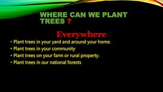 WHERE CAN WE PLANT
TREES ?
Everywhere
• Plant trees in your yard and around your home.
• Plant trees in your community
• Plant trees on your farm or rural property.
• Plant trees in our national forests
 