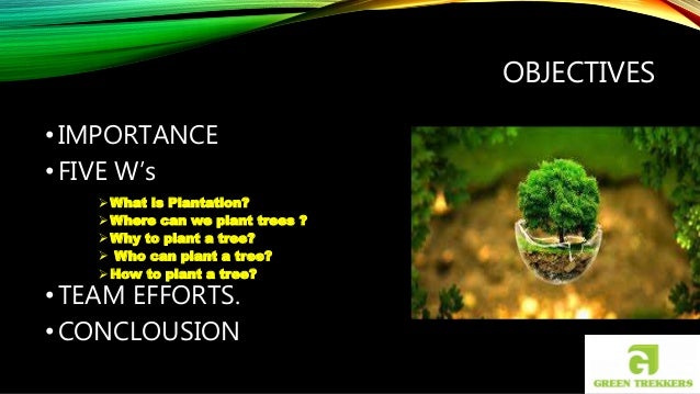 speech on importance of tree plantation