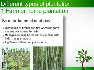 Different types of plantation
1.Farm or home plantation
 