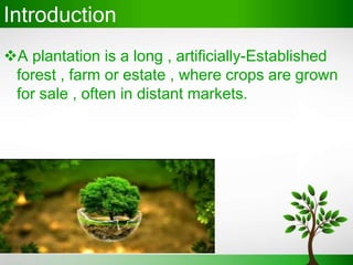 Introduction
A plantation is a long , artificially-Established
forest , farm or estate , where crops are grown
for sale ,...