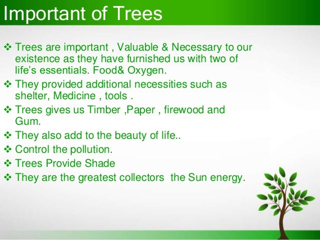 Essay trees conservation