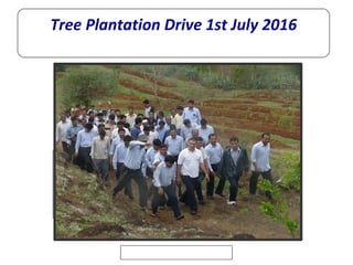 Click to edit Master subtitle style
Tree Plantation Drive 1st July 2016
 