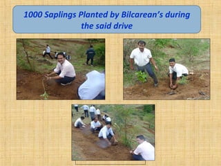 1000 Saplings Planted by Bilcarean’s during
the said drive
 