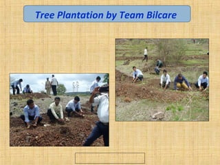 Tree Plantation by Team Bilcare
 