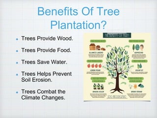 Benefits Of Tree
Plantation?
Trees Provide Wood.
Trees Provide Food.
Trees Save Water.
Trees Helps Prevent
Soil Erosion.
Trees Combat the
Climate Changes.
 