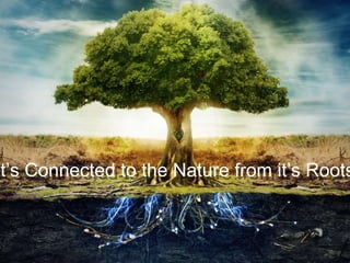 It’s Connected to the Nature from it’s Roots
 