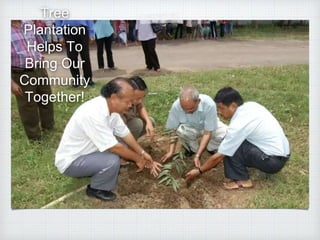 Tree
Plantation
Helps To
Bring Our
Community
Together!
 
